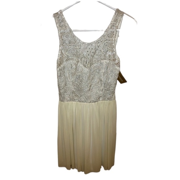 Francesca’s Ivort/Cream Sleeveless Drop Waist lace mini dress - Picture 1 of 7